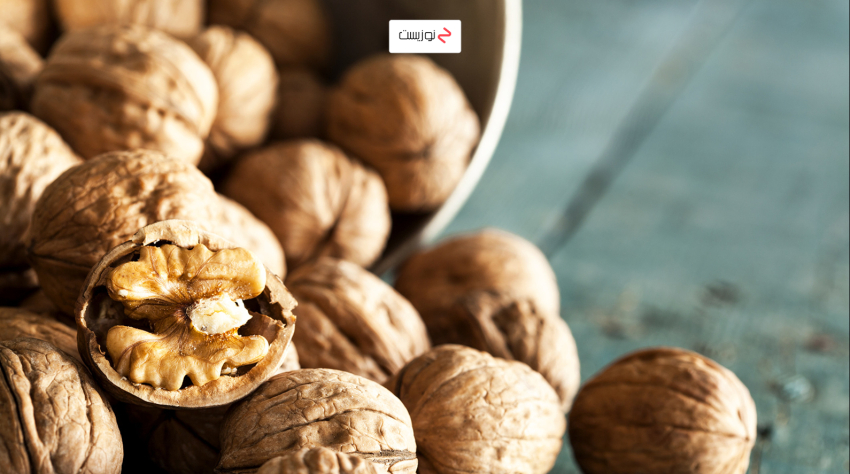 گردو میان وعده مناسب برای تقویت حافظه