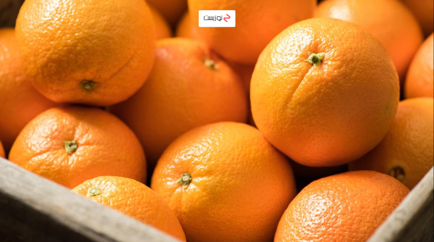 پرتقال میان وعده برتر برای حافظه و جلوگیری از آلزایمر