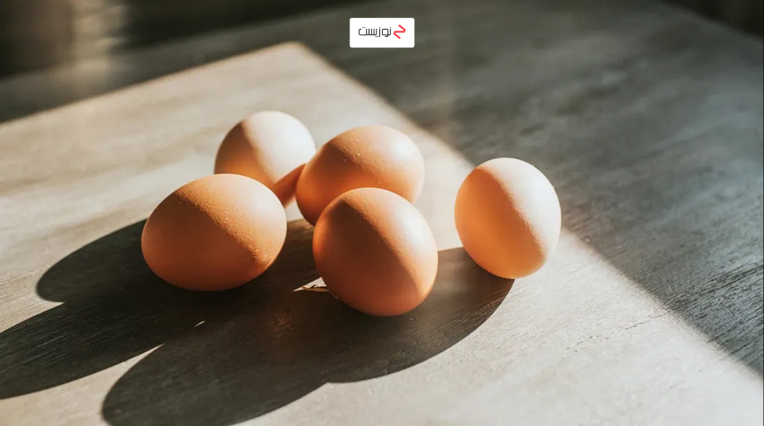 تخم مرغ میان وعده برای تقویت حافظه
